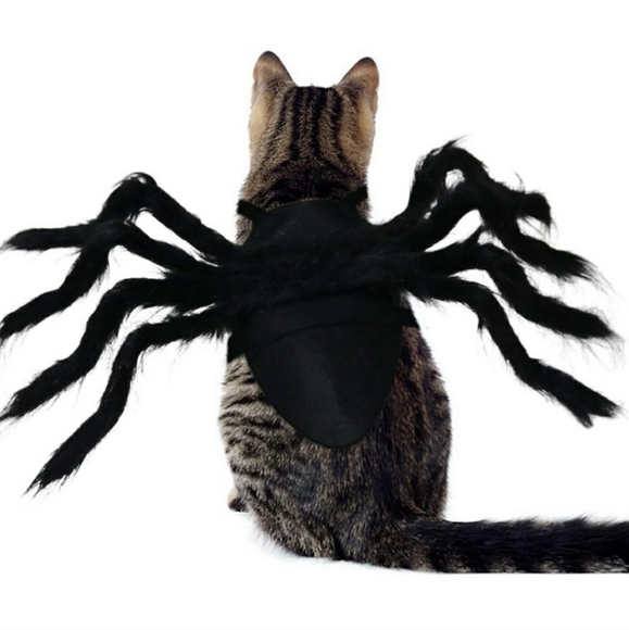 SPIDER COSTUME FOR DOGGO!! - Picture 4 of 11